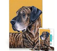 Puzzle 1000 pièces Chien Danois bringé Découpe précise Jeu créatif et intellectuel pour des Moments de détente et de Calme Cadeau d'anniversaire (50x75cm)