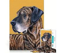 Puzzle 1000 pièces Chien Dogue Allemand bringé Articulations Fines Jeu cognitif et Amusant Jeu Calme Cadeau d'anniversaire Artistique (38x52cm)