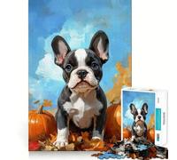 Puzzle 1000 pièces Chiot Boston Terrier avec citrouilles,découpe précise,activité ludique et Intelligente,Moment de détente,Cadeau de décoration d'anniversaire (38x52cm)