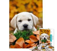 Puzzle 1000 pièces Chiot Labrador d'automne Idéal pour Un Anniversaire ou Noël Décoration Parfaite Jouet à Monter soi-même Convient aux Enfants de 14 Ans et Plus (38x52cm)