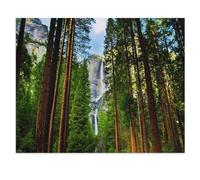 Puzzle 1000 pièces，Chutes Yosemite derrière Les séquoias dans Le Parc National de Yosemite, Californie，Adulte Enfant Jeu éducatif en Bois（75x50cm）-V27