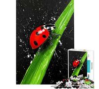 Puzzle 1000 pièces Coccinelle sur Un Brin d'herbe Puzzle pour Adultes Jeu de réflexion Idéal pour Passer Le Temps à la Maison pour Un Anniversaire ou Noël (Dimensions 50x75cm)