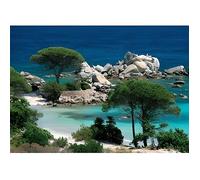 Puzzle 1000 pièces - Corse du Sud - NATHAN - Voyage et cartes - Mixte - Bleu - Adulte - A partir de 7 ans
