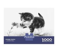 Puzzle 1000 Pièces Curious Kitten Puzzles pour Adolescents : Améliorent La Mémoire, Défi Éducatif, Cadeaux pour Les Amis Et La Famille 52x38cm/1000pcs