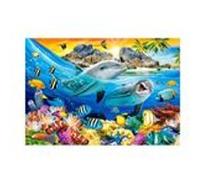 Puzzle 1000 pièces - Dauphins sous les Tropiques multicolore G