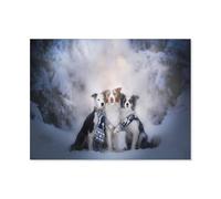 Puzzle 1000 Pièces DIY，Animal Chien Border Collie Neige，Jeux Enfant Adulte Jigsaw Puzzle Game Fun Artis Un Artisanat Unique（50x70cm）-H67