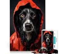 Puzzle 1000 pièces Élégance par Temps de Pluie pour Adolescents Renforce Les Liens familiaux Bordure précise Cadeau attentionné (38x26cm)
