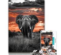 Puzzle 1000 pièces Éléphant d'Afrique Puzzles pour Adultes 1000 pièces, Relax Games est Un pour Toute la Famille 50x75cm