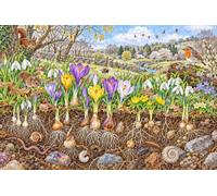 Puzzle 1000 pièces en Bois Jardin du début du Printemps
