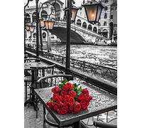 Puzzle 1000 pièces en Noir et Blanc avec Roses Rouges pour Enfants et Adultes, Jouet éducatif, Cadeau, Artisanat, décompression, détente, décoration de Cadeau de Noël, Peinture 50 x 70 cm