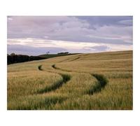 Puzzle 1000 Pièces - Encastrement Parfait-Champ,Sentier,collines 70x50cm