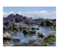 Puzzle 1000 Pièces - Encastrement Parfait-Rochers,Eau,Mousse,mer,Rivage 70x50cm