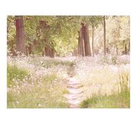 Puzzle 1000 Pièces - Encastrement Parfait-Sentier pédestre,Fleurs,Arbres 70x50cm