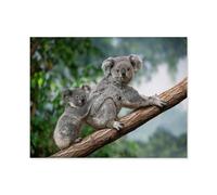 Puzzle 1000 pièces，Femelle Koala avec Petit，Papier pour Adultes Jeux Enfants Jouets Éducatifs（50x70cm）-M85