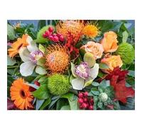 Puzzle 1000 pièces : Fleurs fantastiques Mr Broccoli G