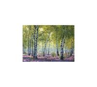 Puzzle 1000 pièces - Forêt de bouleaux multicolore G
