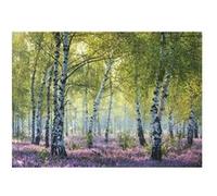 Puzzle 1000 pièces - Forêt de bouleaux