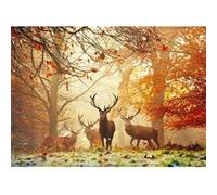 Puzzle 1000 pièces : Forêt magique G