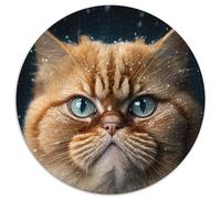 Puzzle 1000 pièces Garfield Le Chat, Puzzle Rond 1000 pièces pour Les fêtes, Les Anniversaires et Les soirées de Jeux en Famille (67,5x67,5cm)