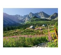 Puzzle 1000 pièces : Gąsienicowa hall dans les Tatras CherryPazzi