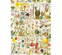 Gibsons Puzzle Botanical Bliss - 1000 pièces - Illustrations botaniques - 68 x 49 cm