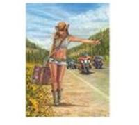 Puzzle 1000 pièces - Gitan américain multicolore G