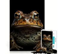 Puzzle 1000 pièces Grenouille Taureau Portrait Découpe soignée Décoration Jeu de logique et de Calme Cadeau de Noël (38x52cm)
