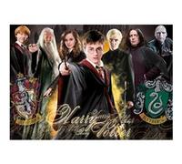 Puzzle 1000 pièces : Harry Potter Educa G