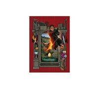 Puzzle 1000 pieces - Harry Potter et la Coupe de Feu Collection Harry Potter MinaLima Neutre G
