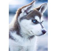 Puzzle 1000 Pièces - Huskys Dogs Affiches - Puzzle Irrégulier d'art - Jouet Amusant pour Personnes Âgées - Jeu Éducatif Familial pour La Mémoire - Kw224Zk