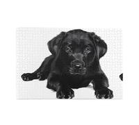 Puzzle 1000 pièces Hytter Labrador noir motif chiot éducatif intellectuel en bois, puzzles amusants, jeu anti-stress