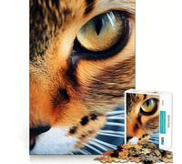 Puzzle 1000 pièces Œil de Chat Gros Plan Ajustement Parfait Jeu Artistique et Stimulant pour l'esprit,Jeu de détente,Cadeau d'anniversaire Amusant (50x75cm)