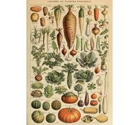 Puzzle 1000 pièces - Illustration du Larousse pour Tous : Légumes et Plantes Potagères, XIXè Siècle