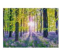 Puzzle 1000 pièces : Jacinthes délicates dans la forêt