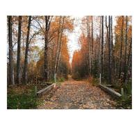 Puzzle 1000 Pièces Jeux éducatif Défi Jouets Cadeaux-Sentier,Route,Automne 70x50cm