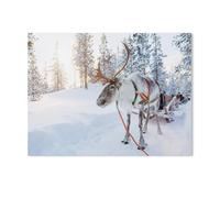 Puzzle 1000 Pièces, Jeux pour Adultes，Rennes dans Une forêt d’Hiver en Laponie finlandaise，Puzzles Le Puzzle en Papier, Jeux Éducatifs, Ensembles De Puzzle pour La Famille（50x70cm）-H60