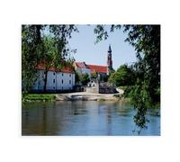 Puzzle 1000 Pièces, Jeux pour Adultes，Vue sur Le Danube, Le château ducal et l'aigle，Puzzles Le Puzzle en Bois, Jeux Éducatifs, Ensembles De Puzzle pour La Famille（75x50cm）-AW33