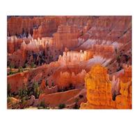 Puzzle 1000 Pièces,Le Cadeau Parfait pour La Famille et Les Amis -Canyons,désert,Arbres 70x50cm