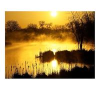 Puzzle 1000 Pièces,Le Cadeau Parfait pour La Famille et Les Amis -Déclin,Orange,Brouillard 70x50cm
