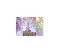 Puzzle 1000 Pièces : Le Printemps à Paris,