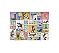 Puzzle 1000 pièces : Le yoga des chats