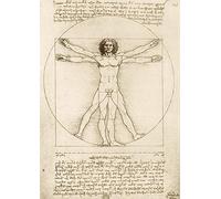 Puzzle 1000 pièces - Leonardo Da Vinci - The Vitruvian Man, 1490