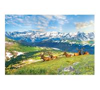 Puzzle 1000 pièces : Les élans de la montagne