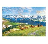 Puzzle 1000 pièces : Les élans de la montagne G
