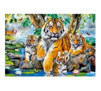 Puzzle 1000 pièces : Les tigres dans la rivière