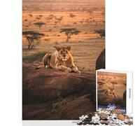 Puzzle 1000 pièces Lionne sur Un Rocher Décoration Murale Cadeau d'anniversaire Jeu de réflexion avec pièces de Formes aléatoires Parfaitement emboîtables Dimensions 50x75cm