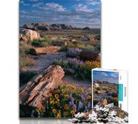 Puzzle 1000 pièces Magnifique Puzzle de rivière de Montagne 1000 pièces pour Adolescents Anti-Stress défi Difficile renforce l'amour Entre Couples (50x75cm)