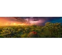 Puzzle 1000 pièces Marc Adamus - Stormy Horizon