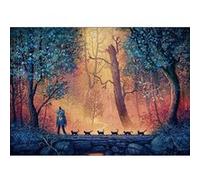 Puzzle 1000 pièces : Marche dans les bois Heye G
