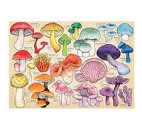 Puzzle 1000 pièces : Mushroom Mania The House Of Puzzle G